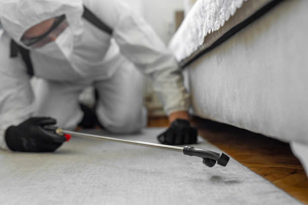 Professional Bed Bug Control technician working in Lake Park, NC