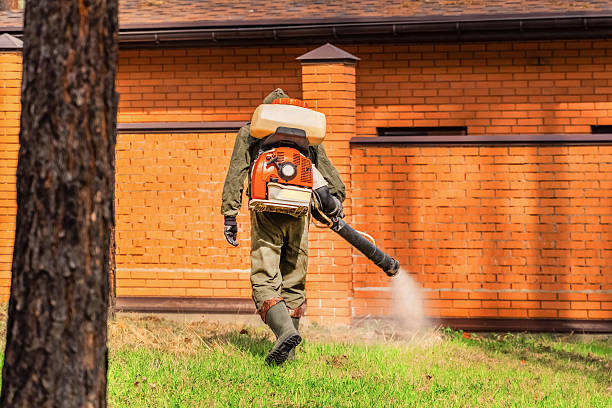 Trusted Termite Control service in Lake Park, NC - Nex Pest Control